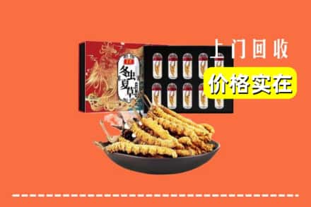 云浮市新兴回收冬虫夏草