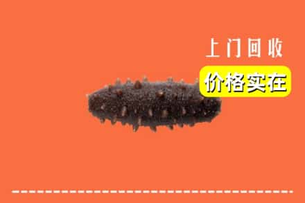云浮市新兴回收海参