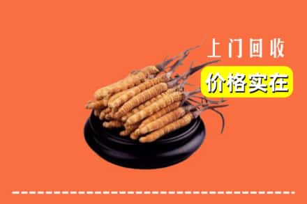 云浮市新兴回收冬虫夏草