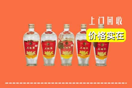 云浮市新兴回收老五粮液